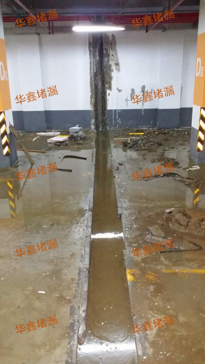 ������������С�����³���������©