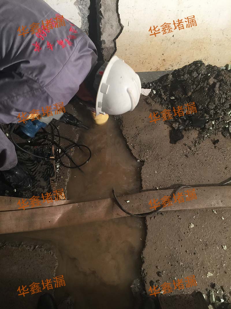 �����������԰���³��������¶�©